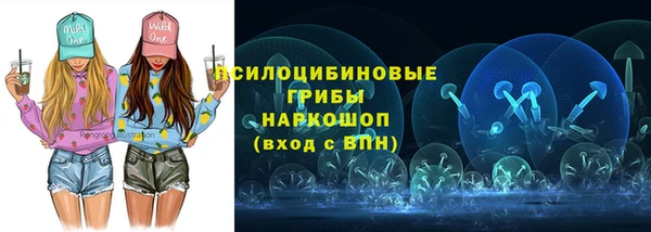 прущие грибы Богородицк