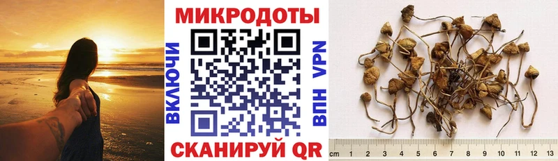 продажа наркотиков  Мегион  Псилоцибиновые грибы MAGIC MUSHROOMS 